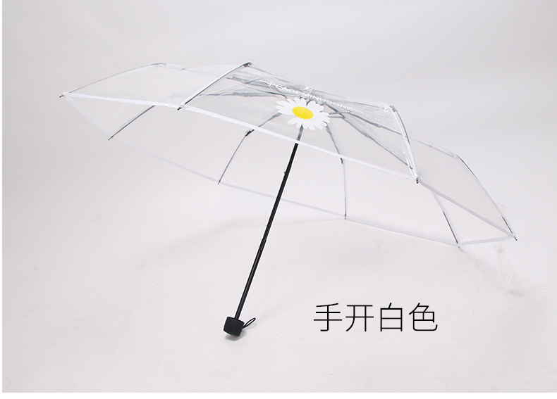 小雏菊伞_10.jpg