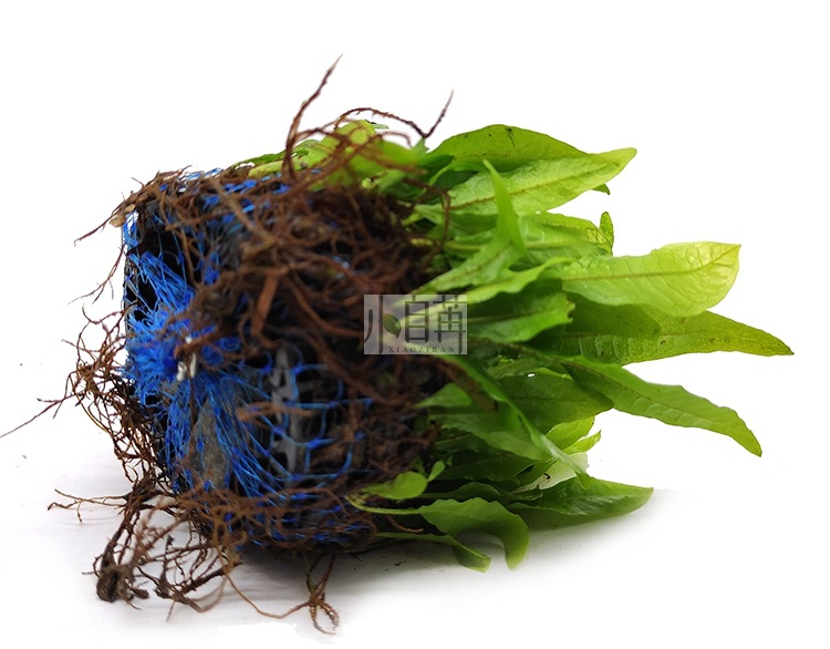 迷你铁半球详情6