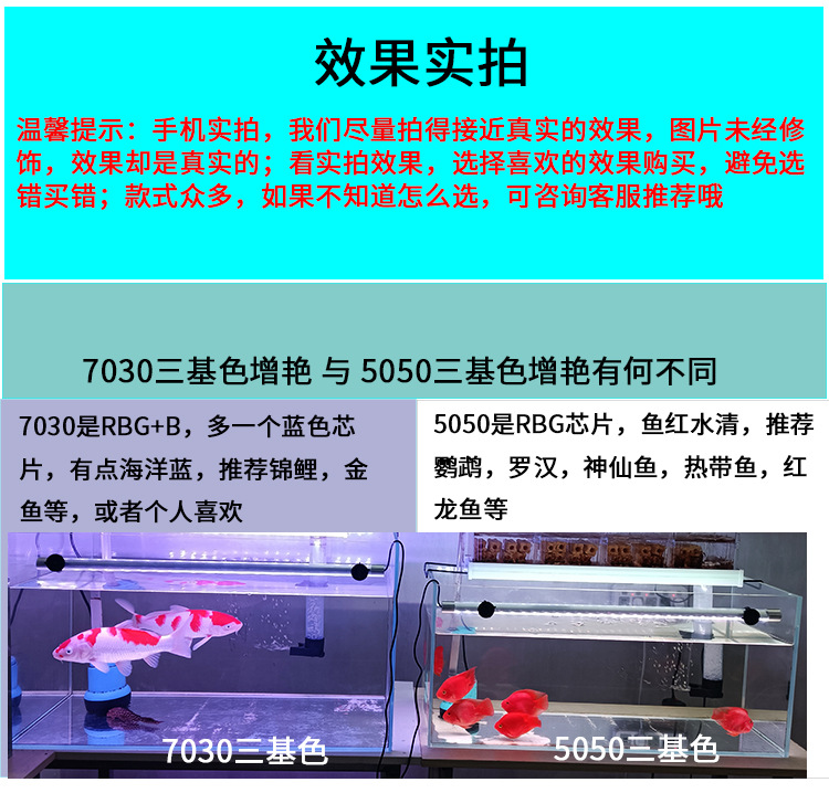 阿里鱼缸灯2020820_13.jpg