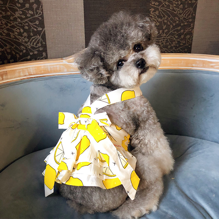 750x750-二脚衣---四色蝴蝶裙_06