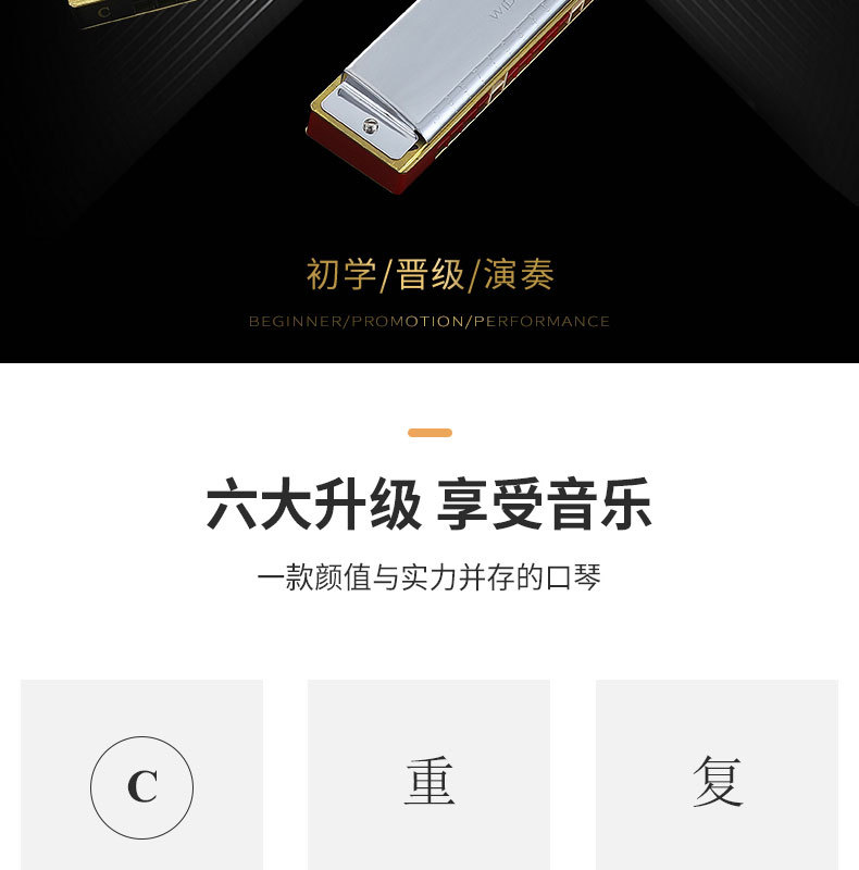阿里-28孔口琴_02.jpg