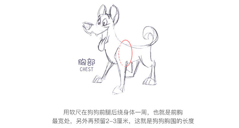 详情_03