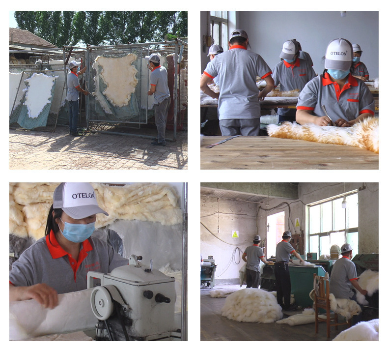 10343691533_996011171