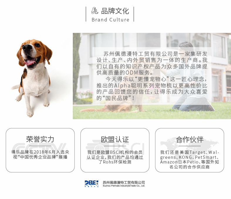 聪明款钢丝刷 (11)