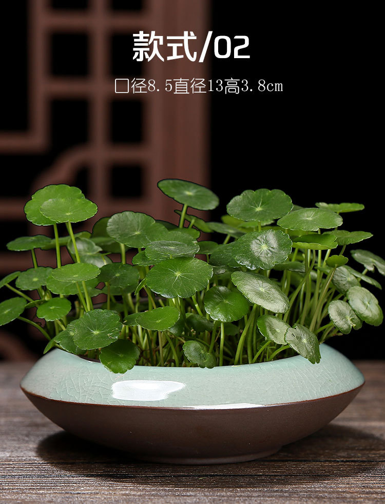 花盆_06