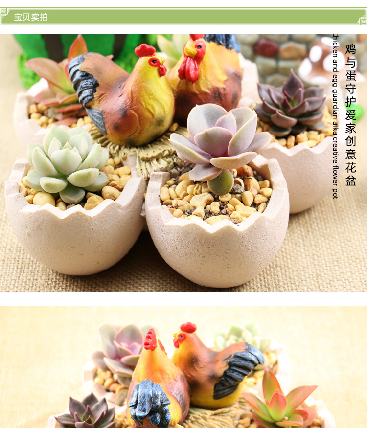 鸡鸟护蛋详情_01.jpg