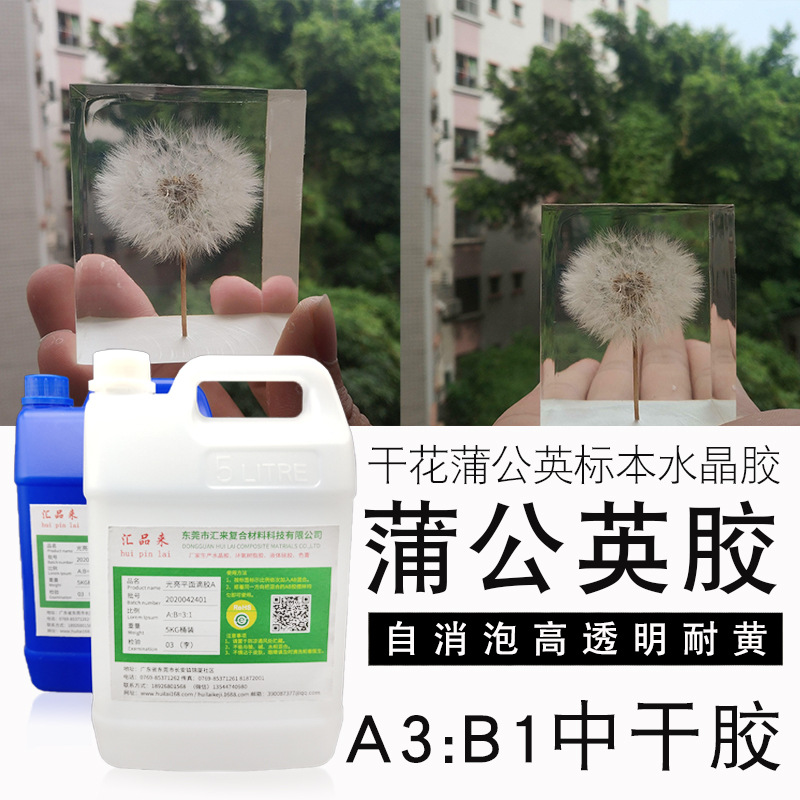 厂家直销蒲公英干花水晶胶 制作植物干花标本蒲公英镇