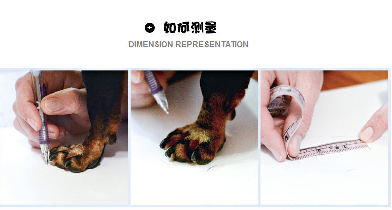 企业微信截图_16000771802449