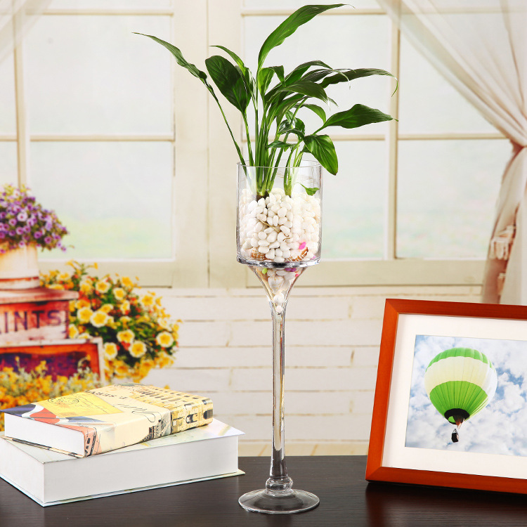 TB2PTybcpXXXXbTXXXXXXXXXXXX_!!