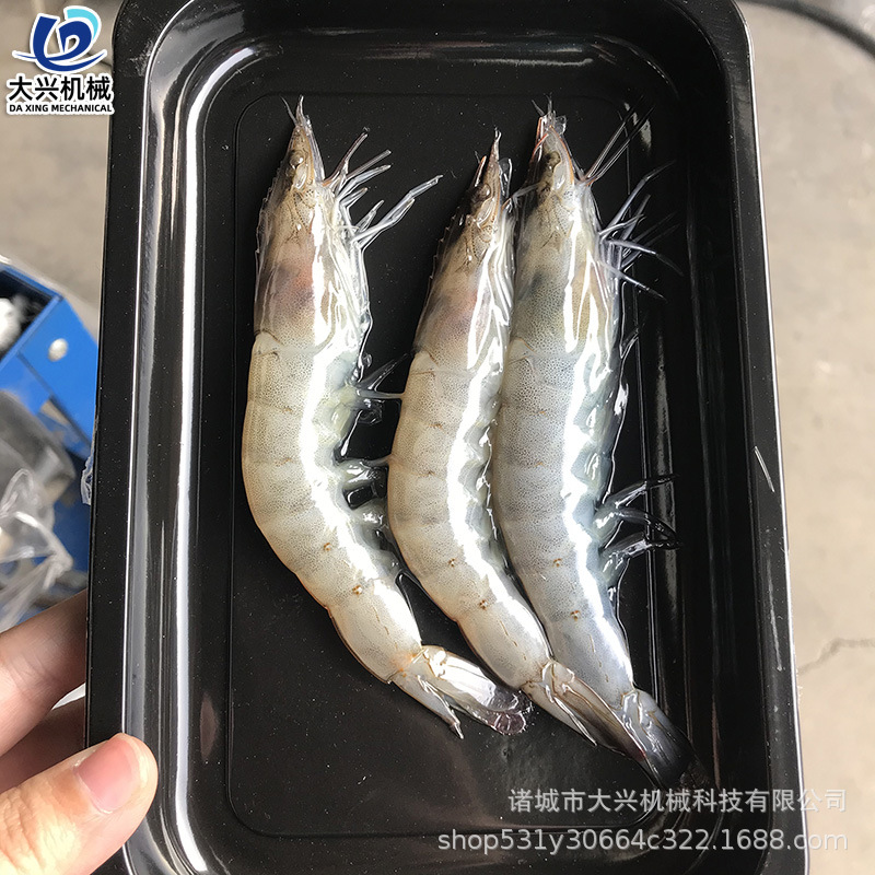 微信图片_202011160900403 副.jpg