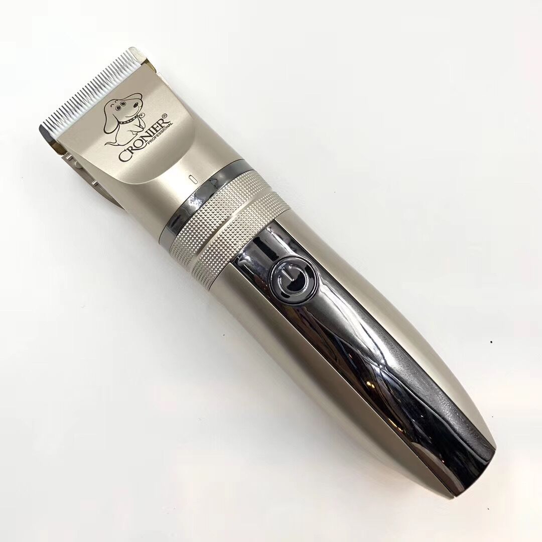 QQ图片20200816100055