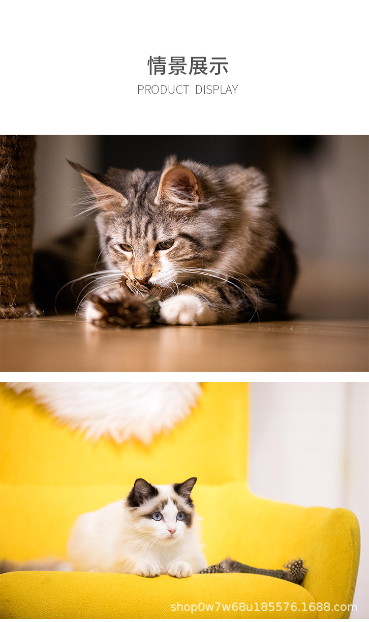 Z7.jpg