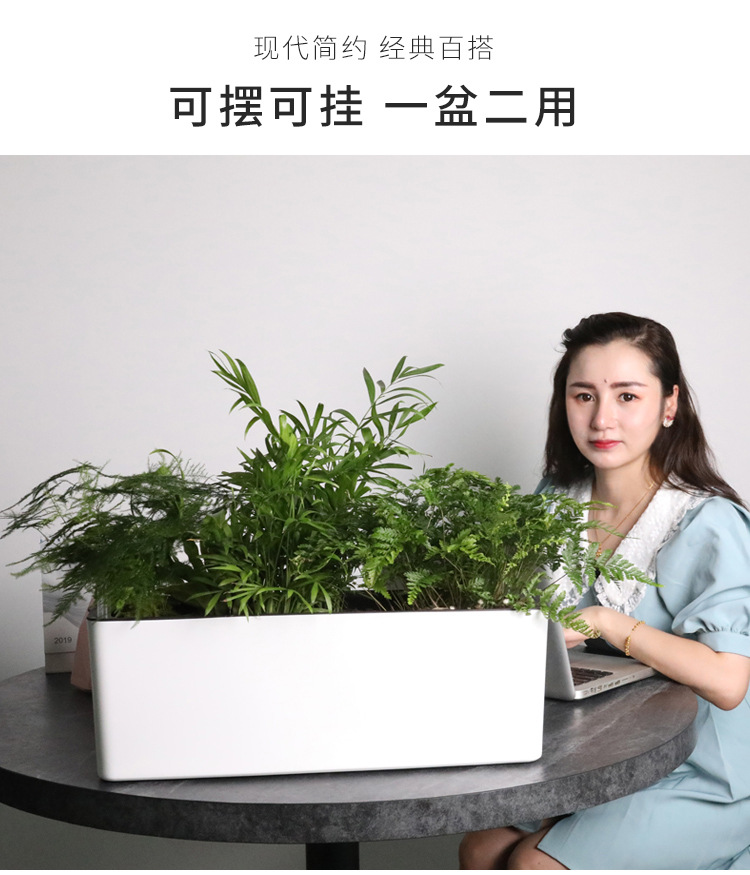 详情页_03.jpg