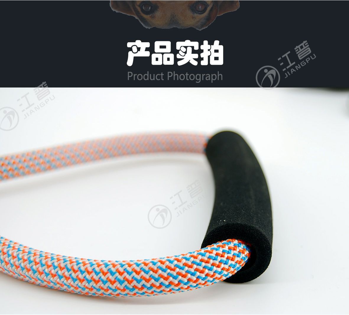 江普牵狗绳-12.jpg