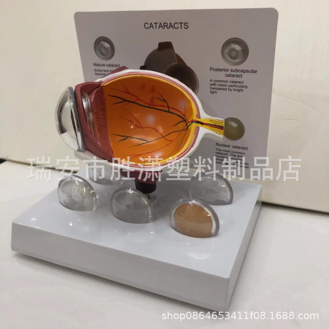 f8188525395f6dc1284e93238d8113