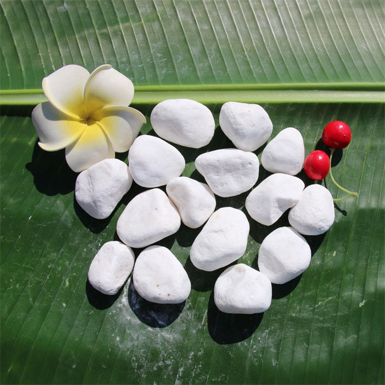 园艺花盆洒面装饰白石子3-10mm纯白色花盆容器配景白玉石