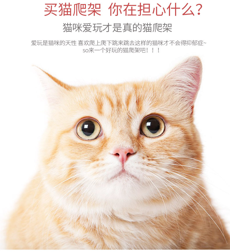 升级版猫爬架_03.jpg