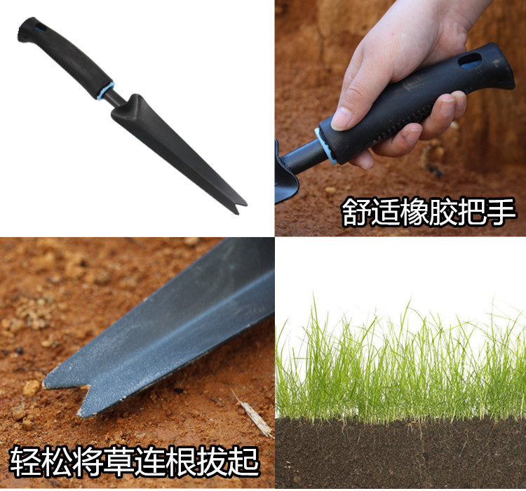 QQ图片本_副本_副本_副本