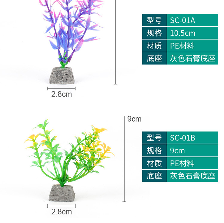 水草-详情750_09.jpg