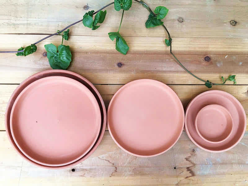 微信图片_20200311141506