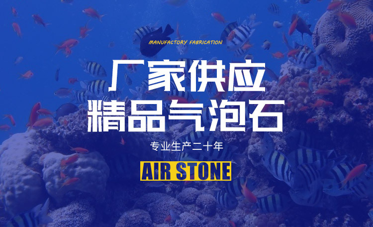 气泡石-无包边气盘_01