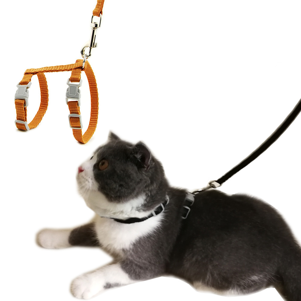 cat harness leash solid for ki