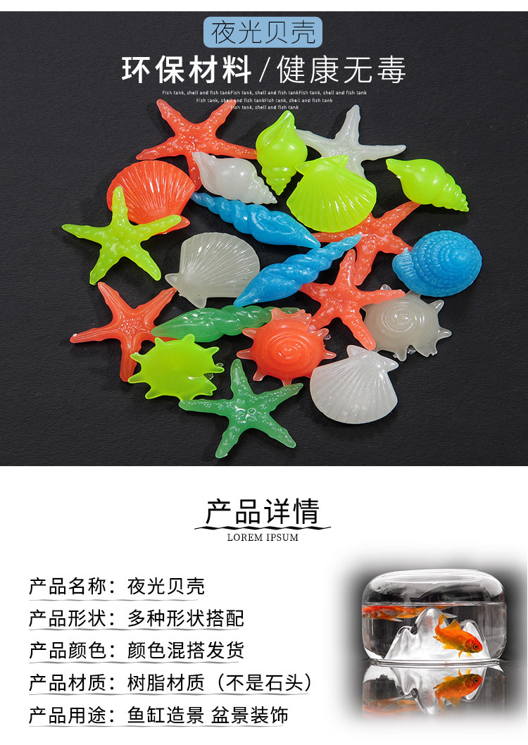 贝壳2_02.jpg