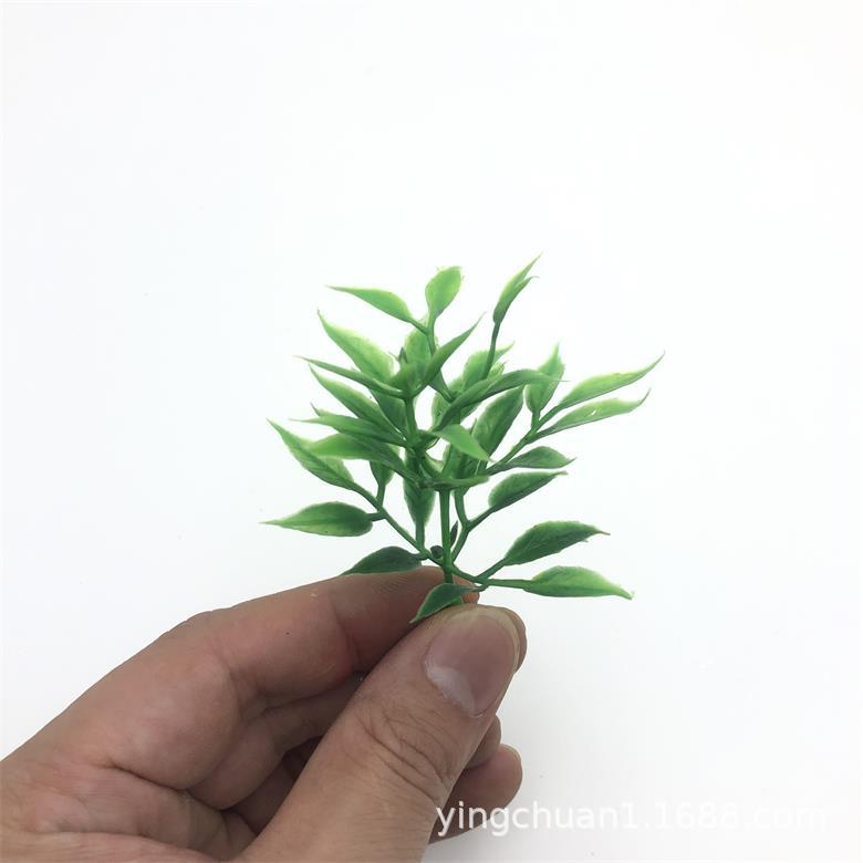 2020-06-03 170915.jpg