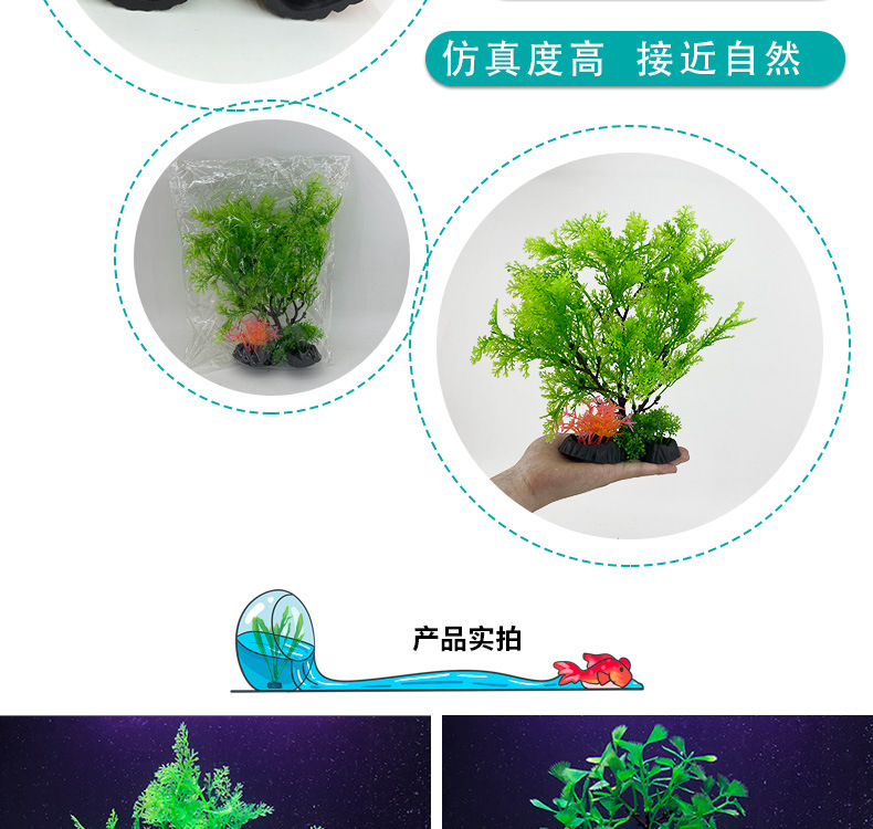 详情_03.jpg