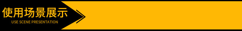 4323913942_1018480325
