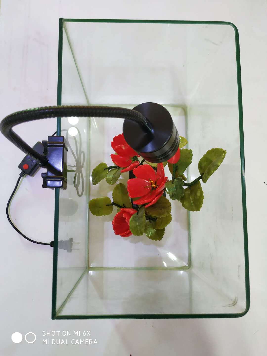 微信图片_20200413021939