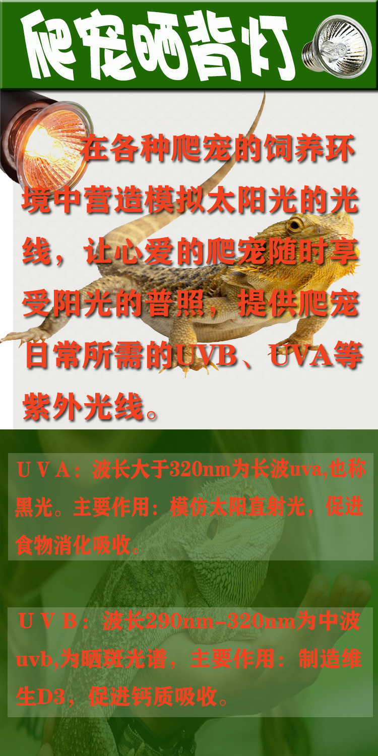 详情2.jpg