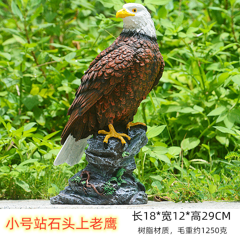 小号站石头上老鹰
