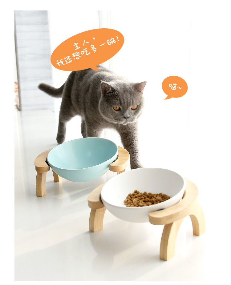 彩虹架猫碗_15.jpg