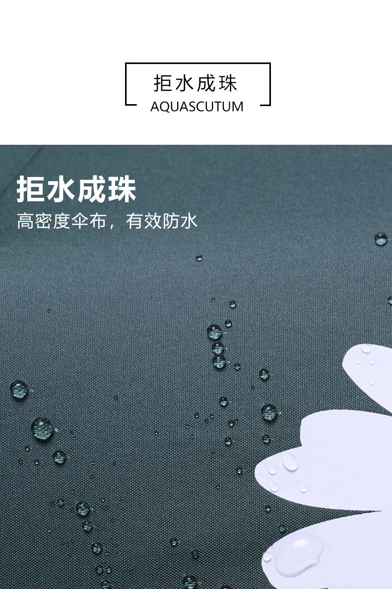 14221194627_1403659387