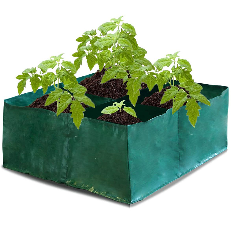 613LhwCeasL._AC_SL1200_