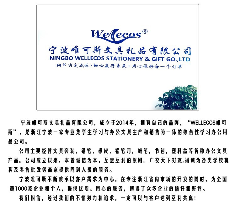 公司介绍