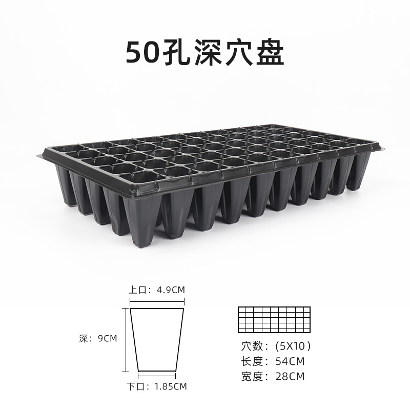 50-深