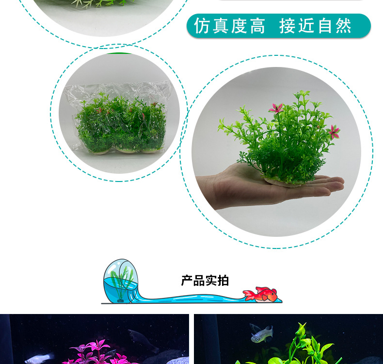 详情_03.jpg