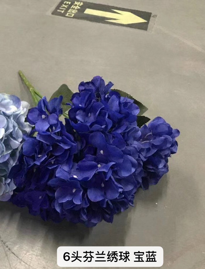 微信图片_20200607144827