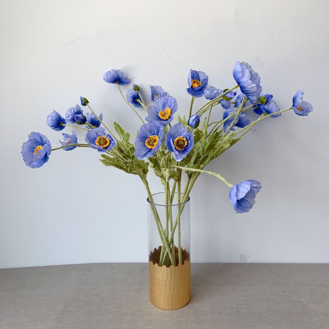 10be9d1145d257eba052688ce0fed7