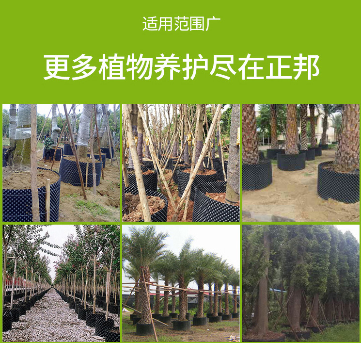 微信图片_20200226211705