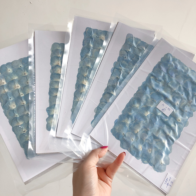 E99982CF5D0835C151D6D60399D056