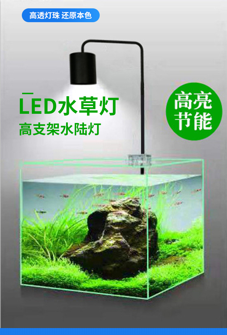 水草灯2_01