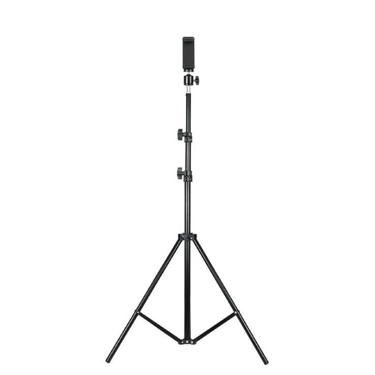 QQ截图20200326101410