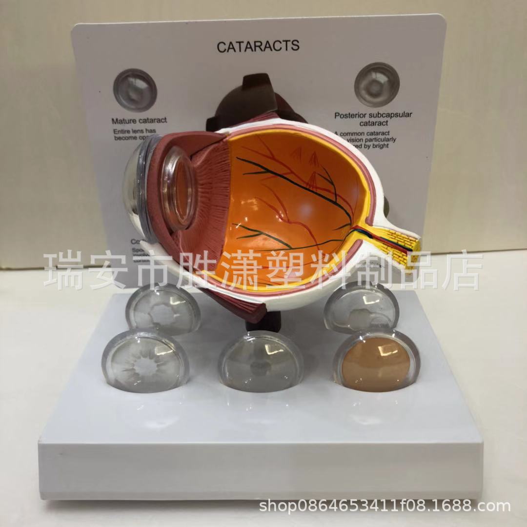 dbe82af401f4ec28a97062a5a415a5