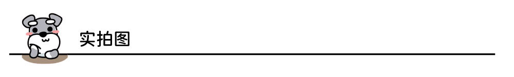 实拍图