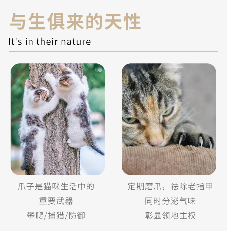 猫抓板窝_03.png