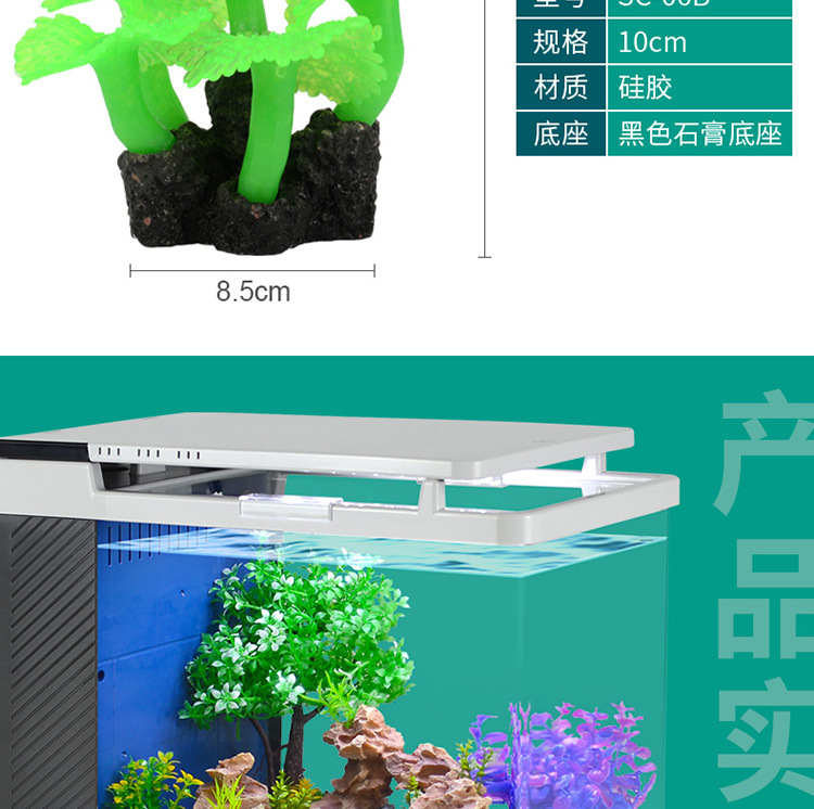 水草-详情750_13.jpg