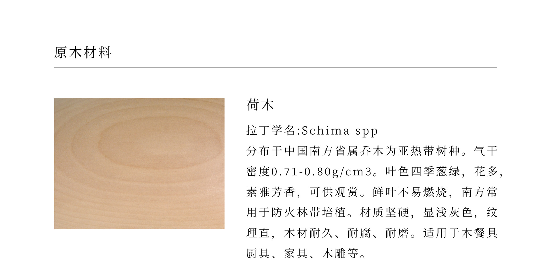 8 木材介绍-荷木